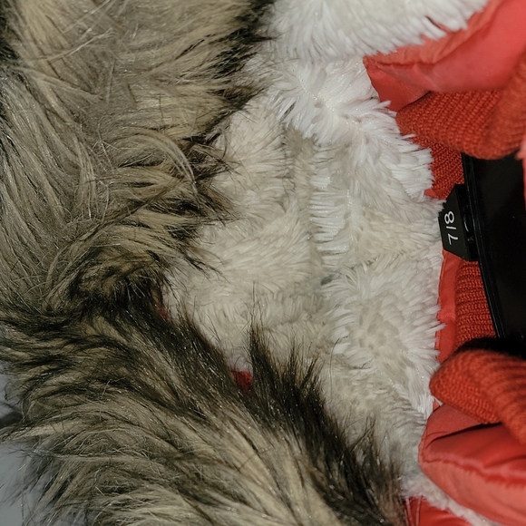 Coat - Picture 3 of 4